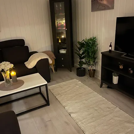 Naer Flyplassen Apartment *